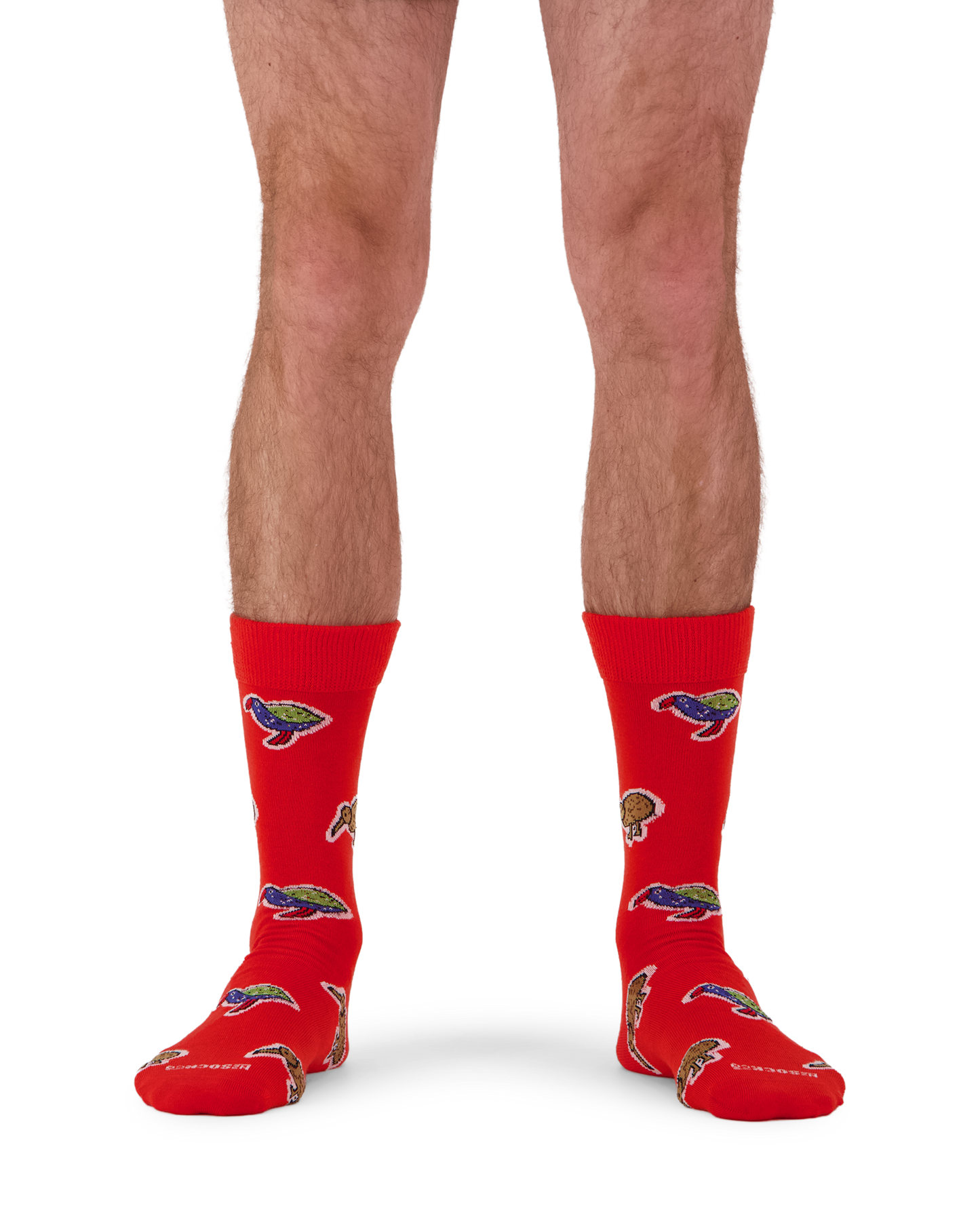 Merino Kiwiana Birds Socks