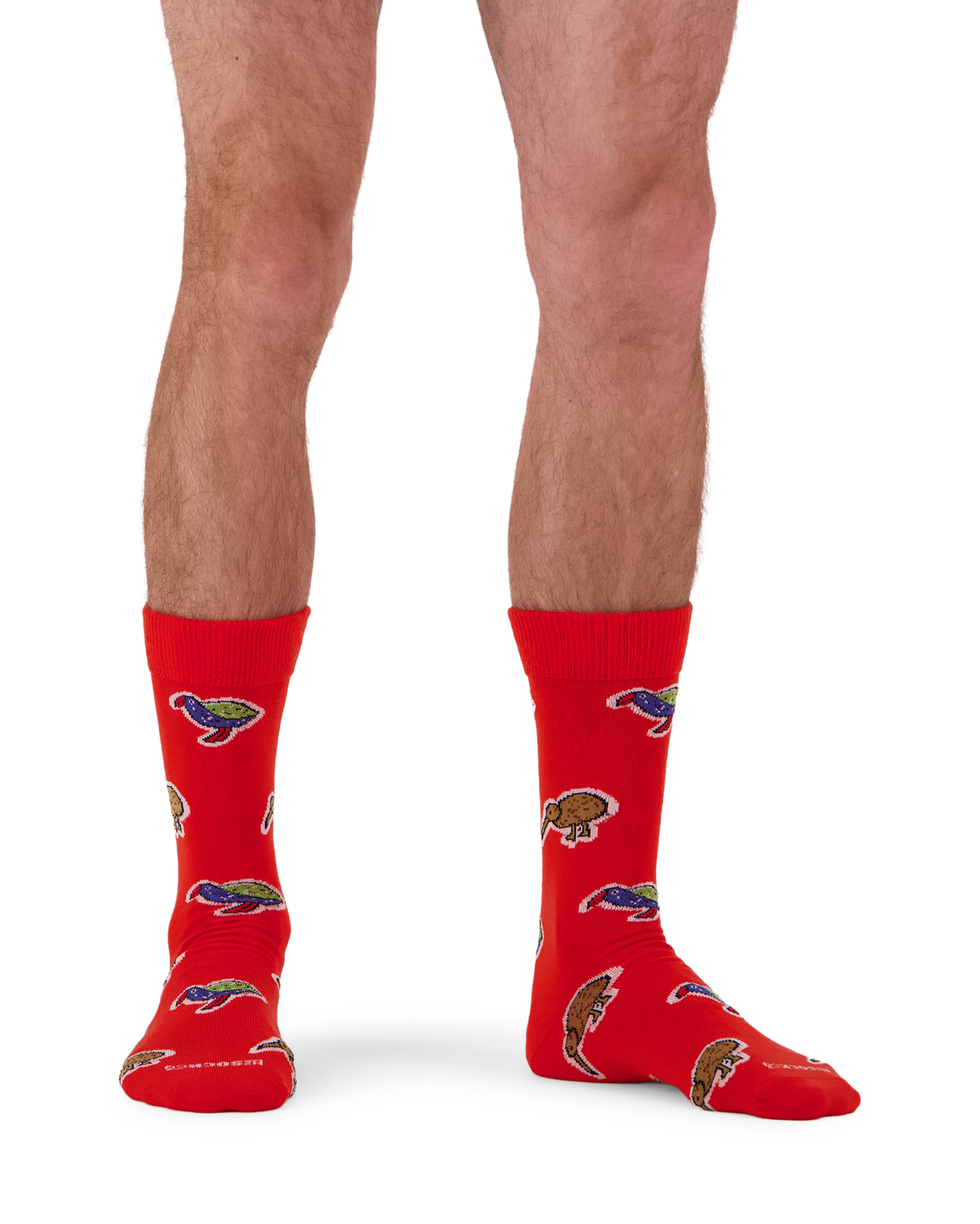 Merino Kiwiana Birds Socks