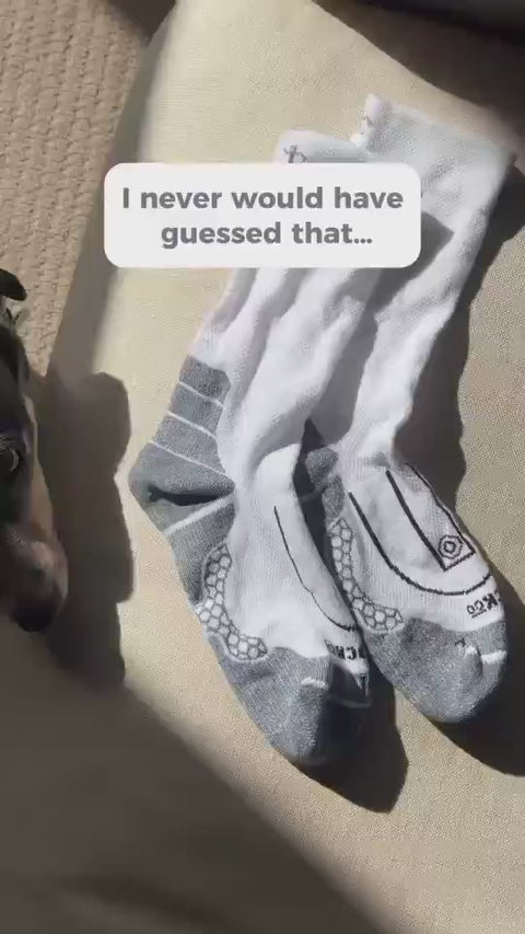 Customer video: Olivia training in her socks